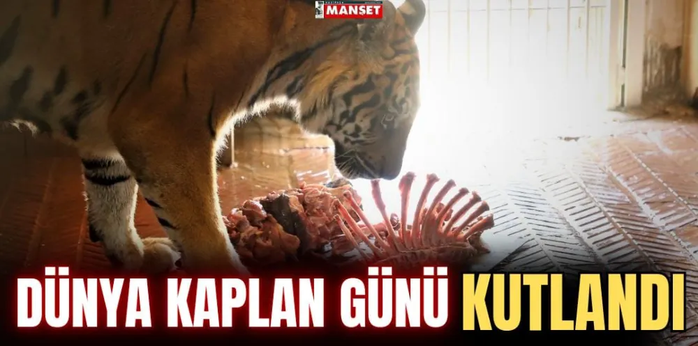 DÜNYA KAPLAN GÜNÜ KUTLANDI