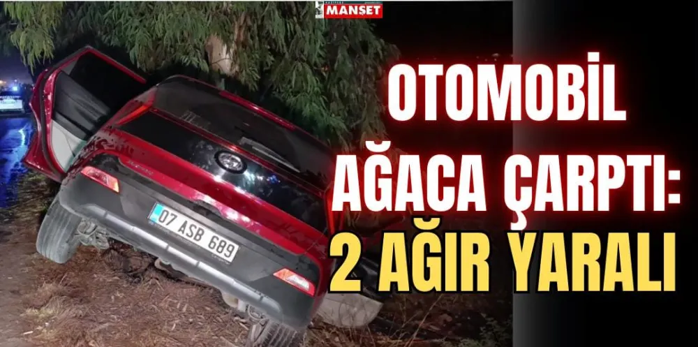 OTOMOBİL AĞACA ÇARPTI 2 KİŞİ AĞIR YARALANDI