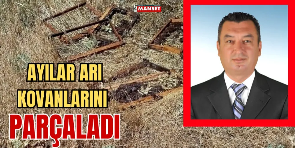 AYILAR ARI KOVANLARINI PARÇALADI