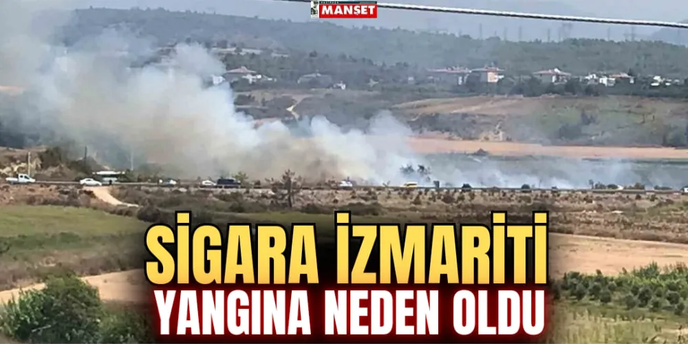 SİGARA İZMARİTİ YANGINA NEDEN OLDU