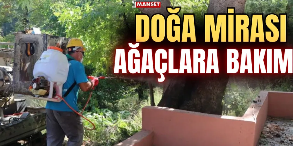 DOĞA MİRASI AĞAÇLARA BAKIM