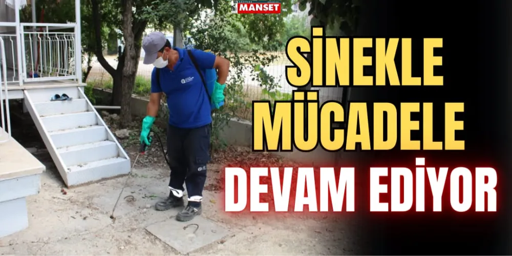 SİNEKLE MÜCADELE DEVAM EDİYOR