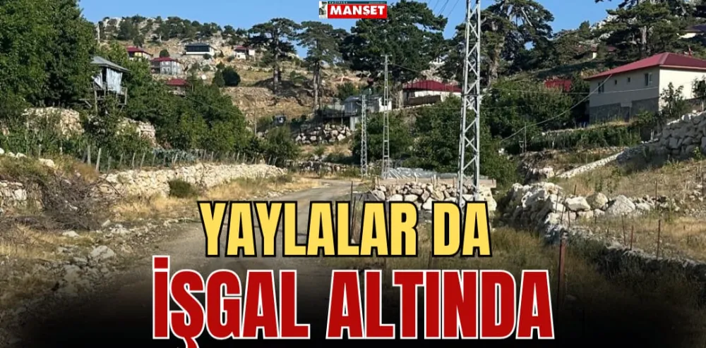 YAYLALAR DA İŞGAL ALTINDA