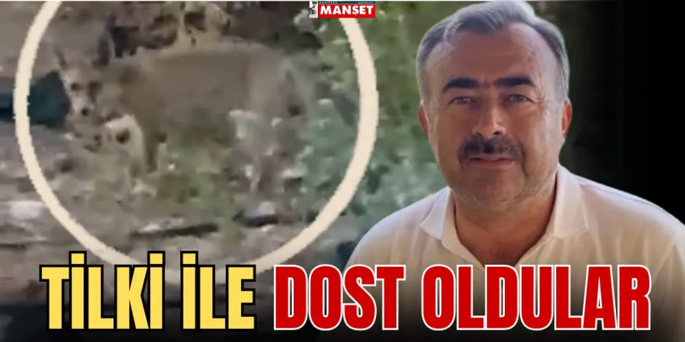 TİLKİ İLE DOST OLDULAR