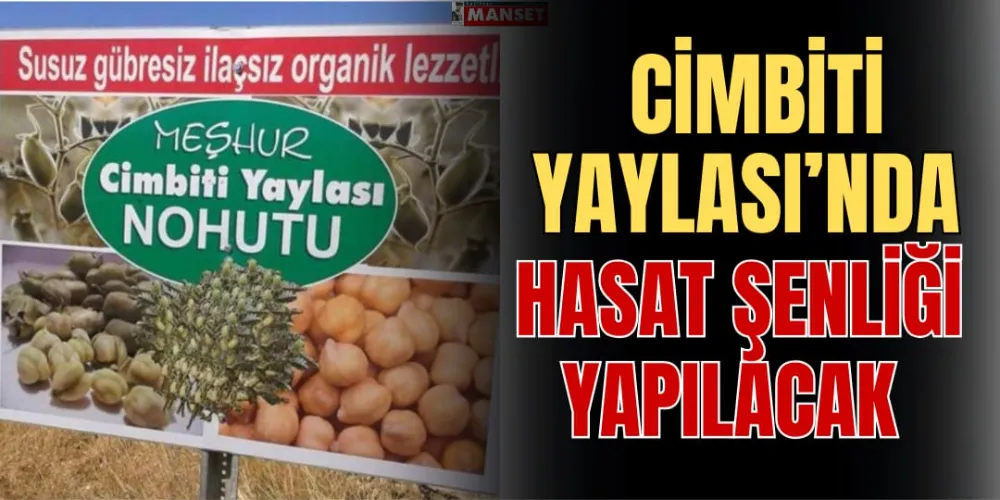 CİMBİTİ YAYLASI’NDA HASAT ŞENLİĞİ YAPILACAK