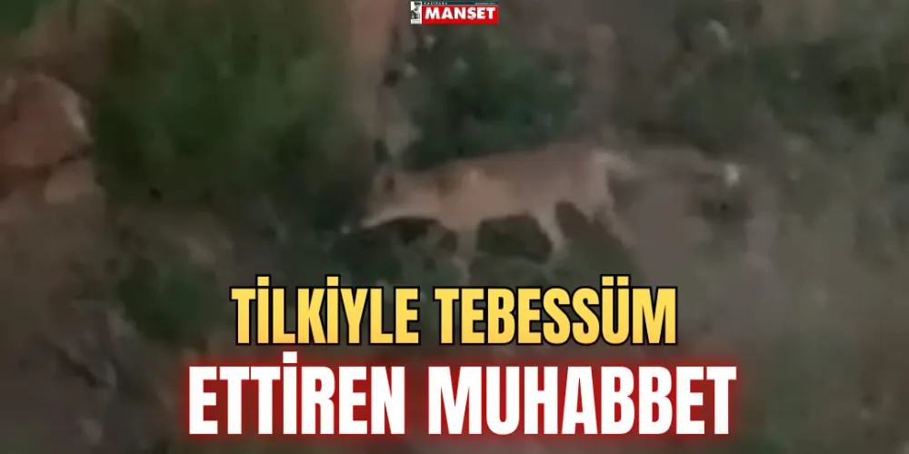 TİLKİYLE TEBESSÜM ETTİREN MUHABBET              