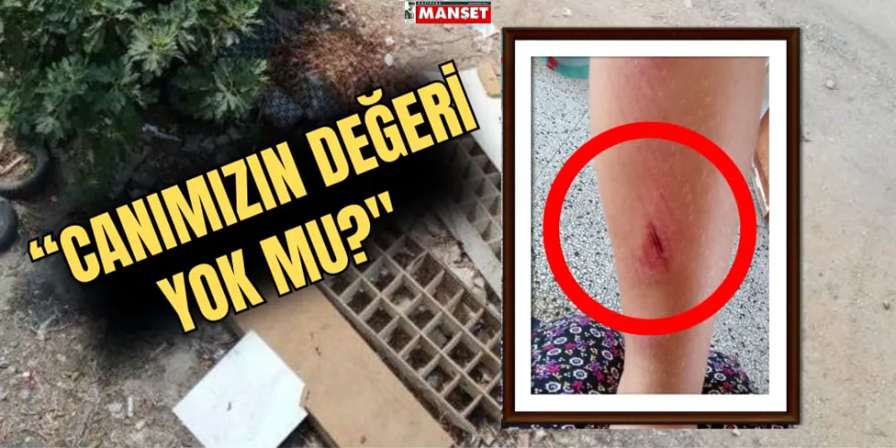 “CANIMIZIN DEĞERİ YOK MU?”