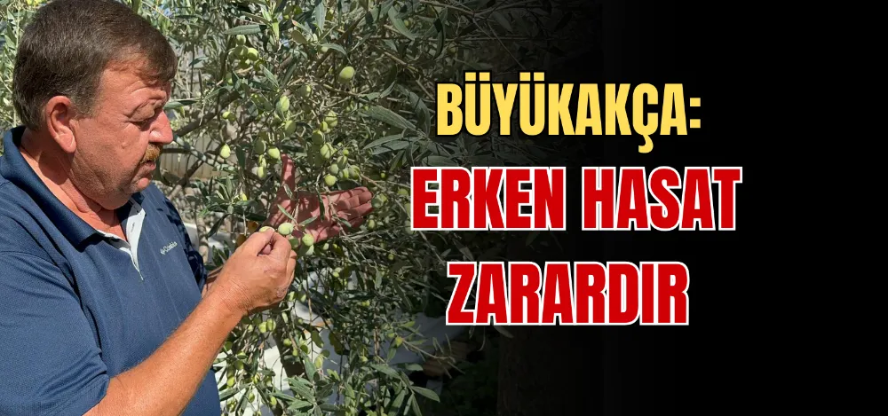 BÜYÜKAKÇA: ERKEN HASAT ZARARDIR 