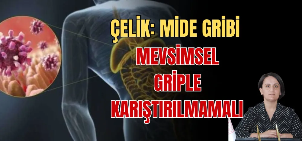 ÇELİK: MİDE GRİBİ MEVSİMSEL GRİPLE KARIŞTIRILMAMALI 