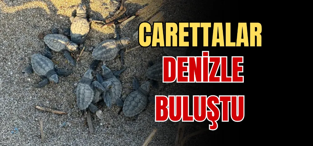 CARETTALAR DENİZLE BULUŞTU 