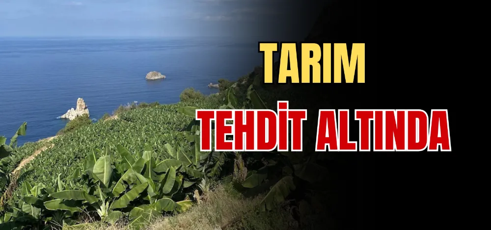 TARIM TEHDİT ALTINDA 