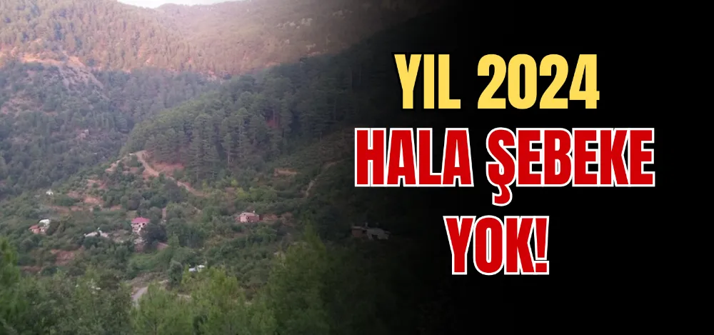 YIL 2024 HALA ŞEBEKE YOK! 