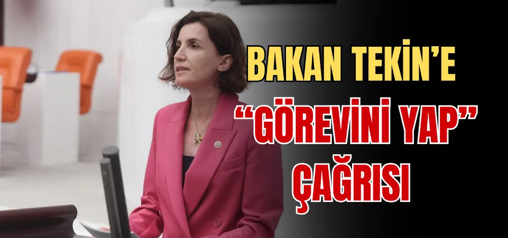 BAKAN TEKİN’E “GÖREVİNİ YAP” ÇAĞRISI 