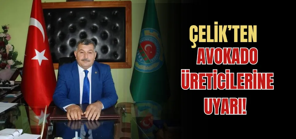 ÇELİK’TEN AVOKADO ÜRETİCİLERİNE UYARI! 