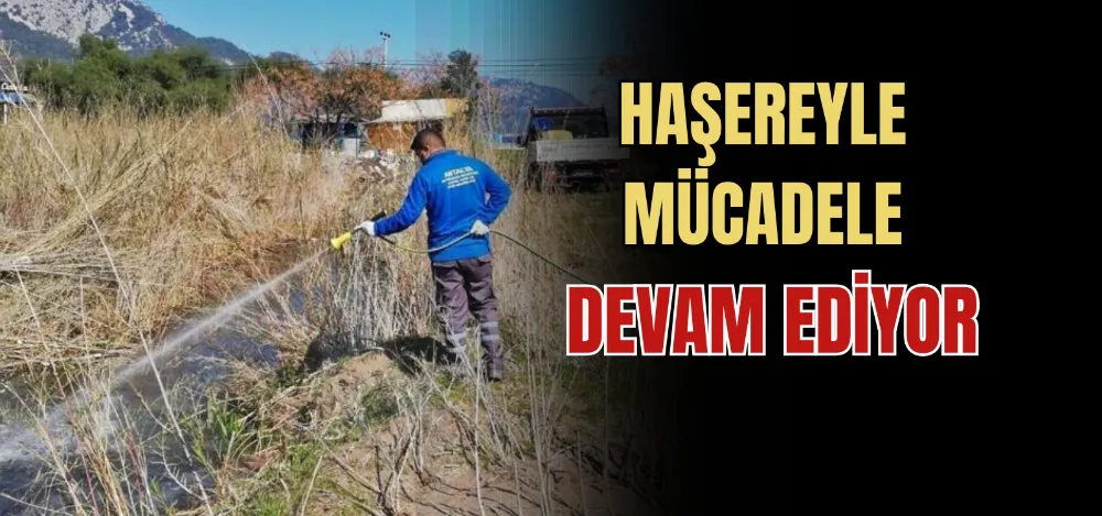 HAŞEREYLE MÜCADELE DEVAM EDİYOR