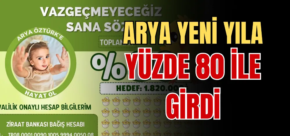 ARYA YENİ YILA YÜZDE 80 İLE GİRDİ 