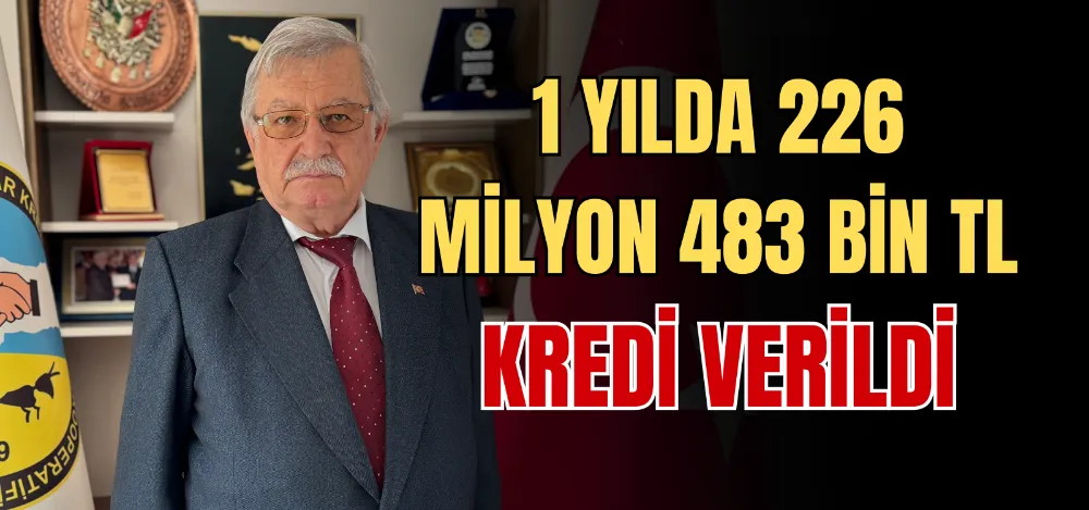 1 YILDA 226 MİLYON 483 BİN TL KREDİ VERİLDİ 