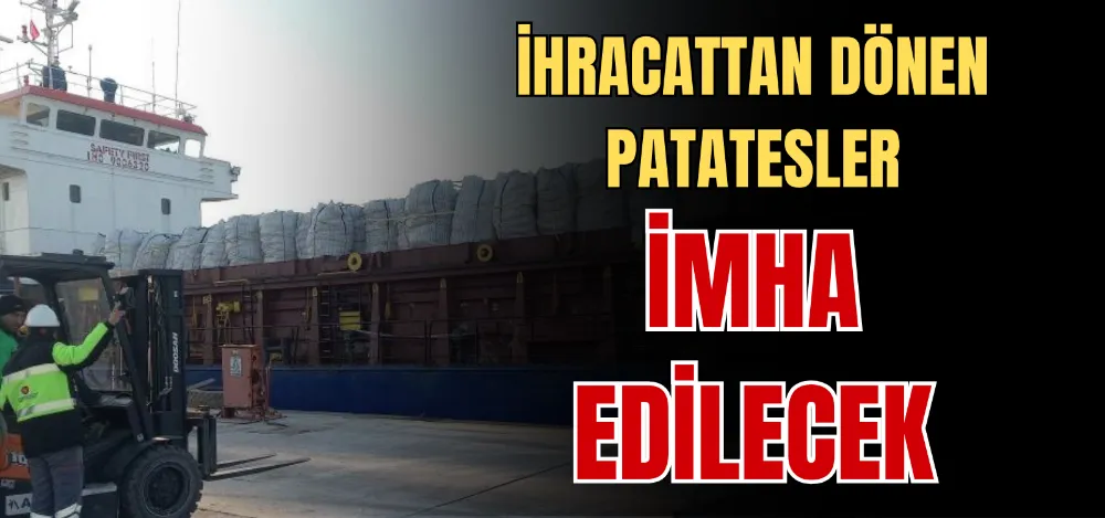 İHRACATTAN DÖNEN PATATESLER İMHA EDİLECEK 