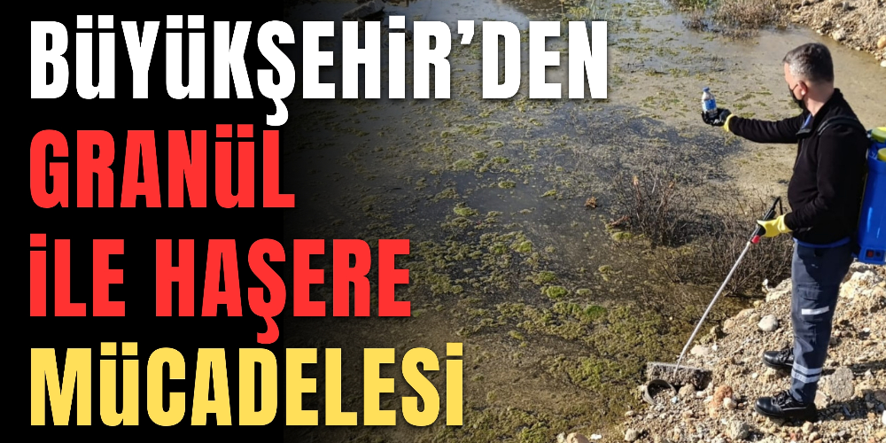 Büyükşehir’den granül ile haşere mücadelesi