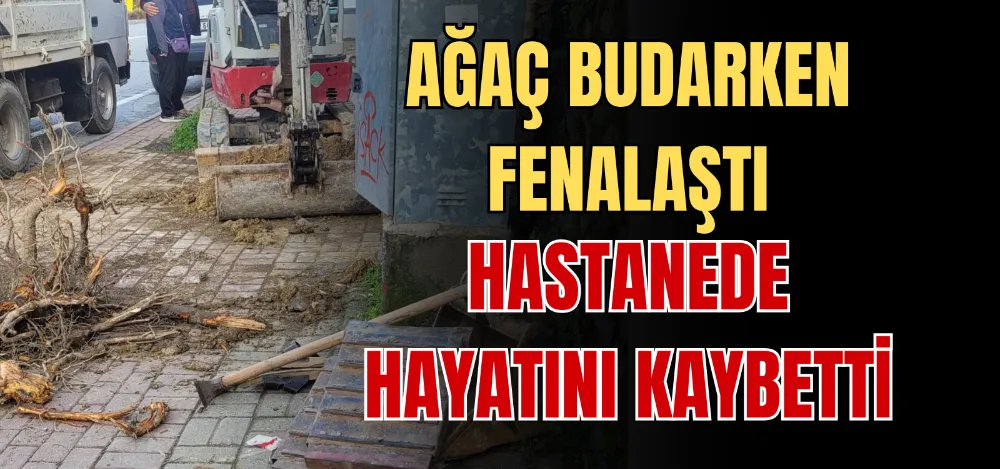 AĞAÇ BUDARKEN FENALAŞTI HASTANEDE HAYATINI KAYBETTİ 