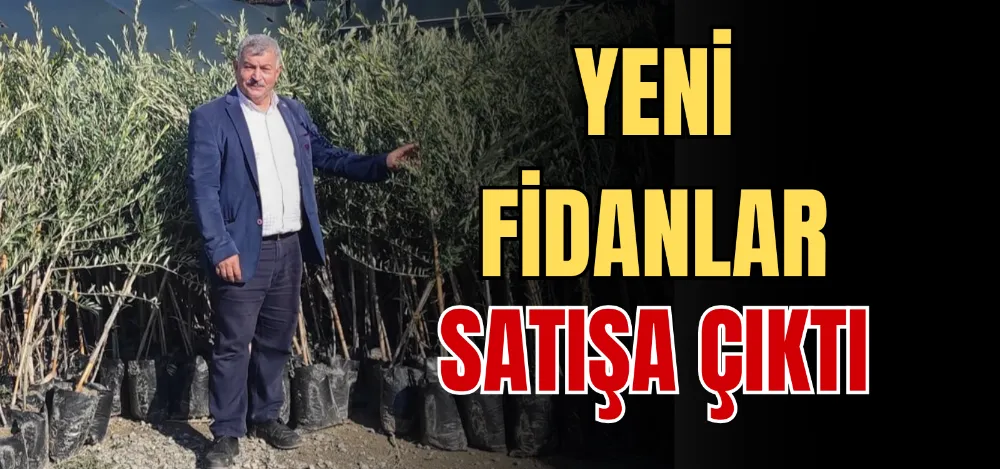 YENİ FİDANLAR SATIŞA ÇIKTI 