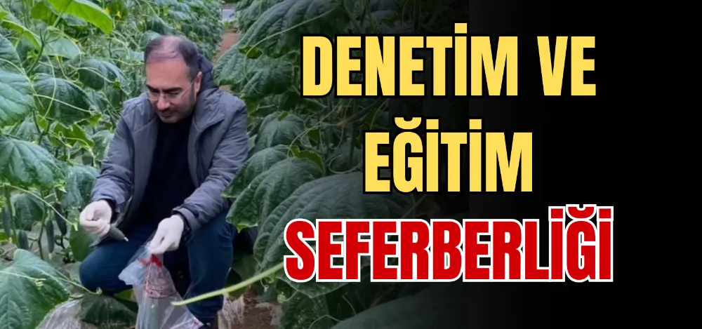 DENETİM VE EĞİTİM SEFERBERLİĞİ