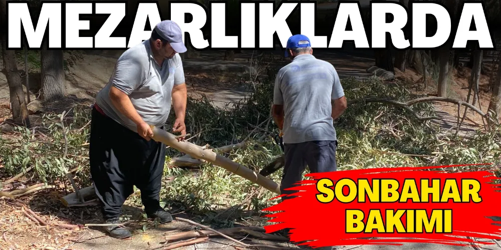 MEZARLIKLARA SONBAHAR BAKIMI
