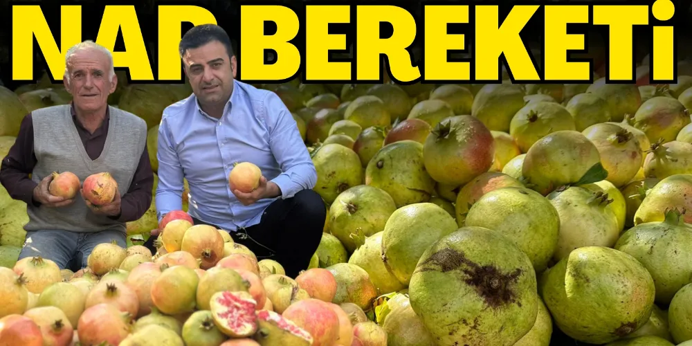 NAR BEREKETİ