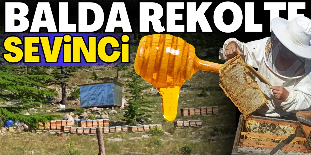 BALDA REKOLTE SEVİNCİ