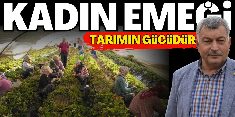 KADIN EMEĞİ TARIMIN GÜCÜDÜR