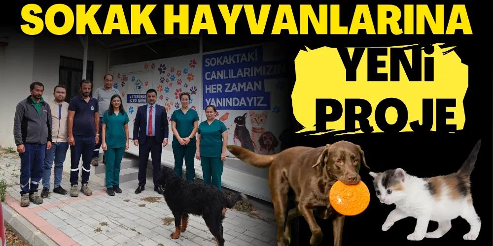 SOKAK HAYVANLARI İÇİN YENİ PROJE