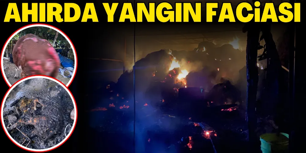 AHIRDA YANGIN FACİASI