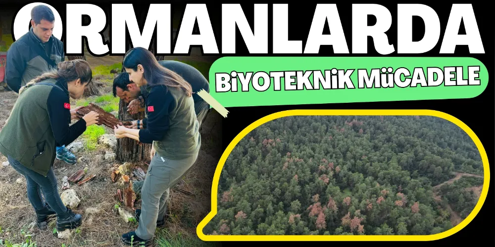 ORMANLARDA BİYOTEKNİK MÜCADELE