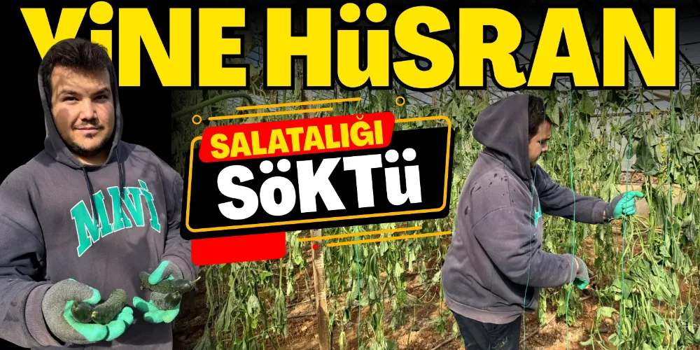 YİNE HÜSRAN!