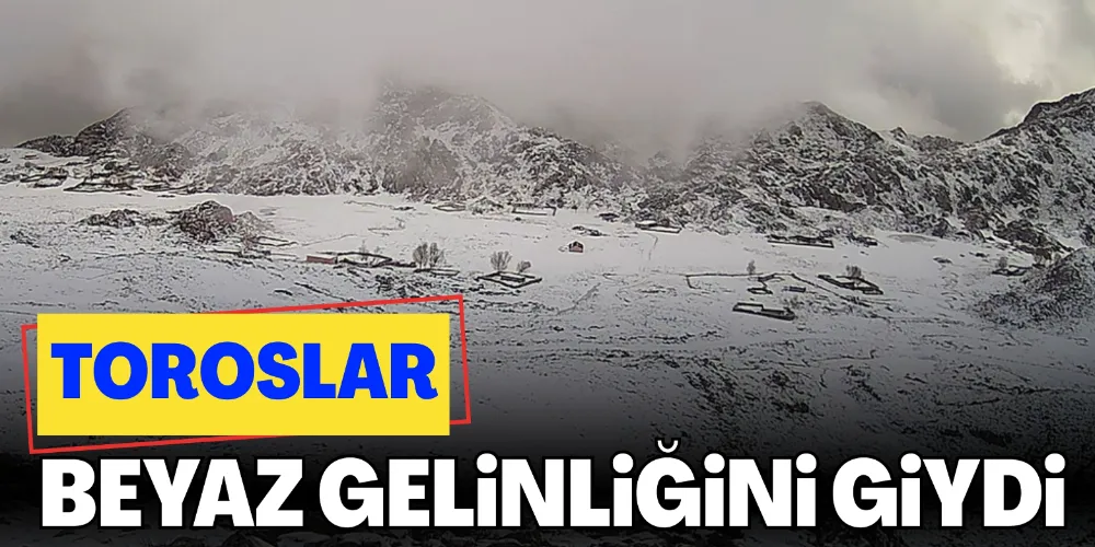 TOROSLAR BEYAZ GELİNLİĞİNİ GİYDİ