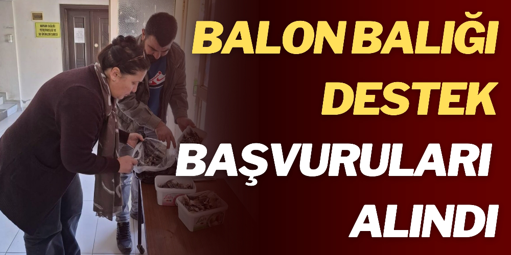 BALON BALIĞI DESTEK BAŞVURULARI ALINDI