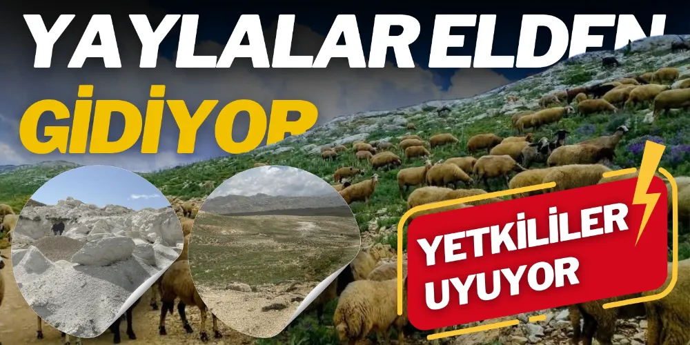 YAYLALAR ELDEN GİDİYOR!