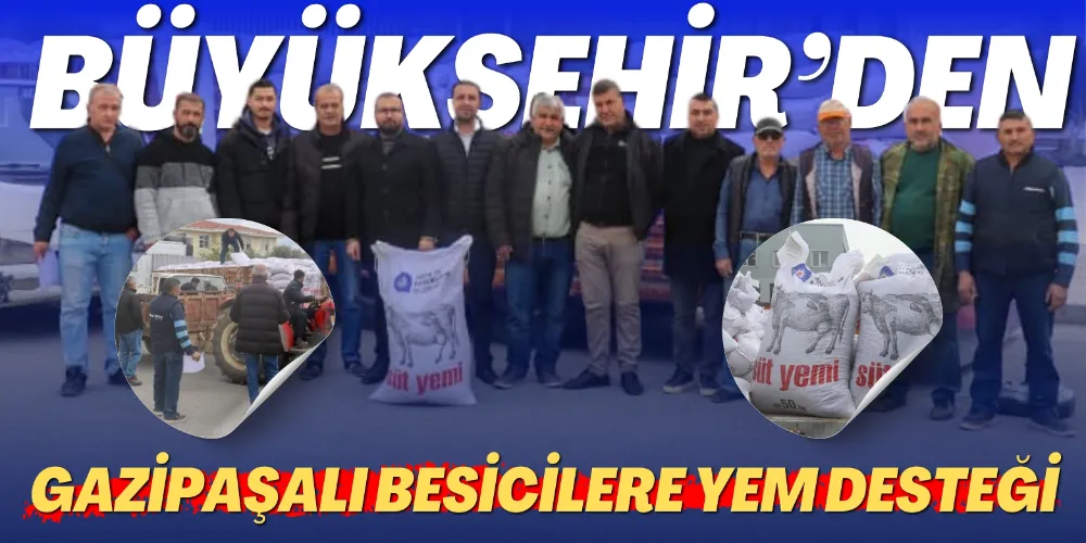 BÜYÜKŞEHİR’DEN GAZİPAŞALI BESİCİLERE YEM DESTEĞİ