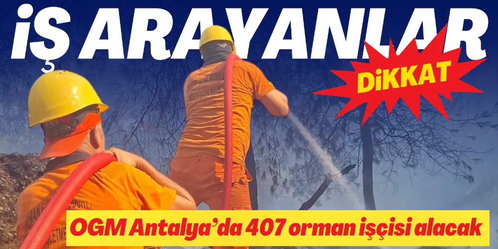 ANTALYA’DA 407 ORMAN İŞÇİSİ ALINACAK