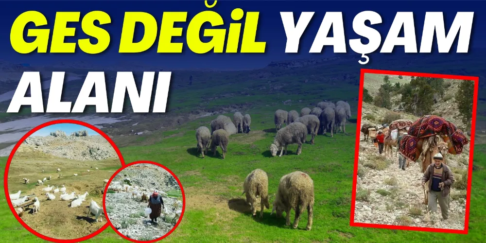 GES DEĞİL YAŞAM ALANI