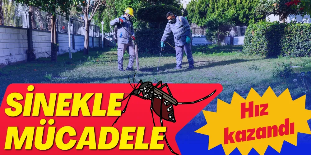 SİNEKLE MÜCADELE HIZ KAZANDI