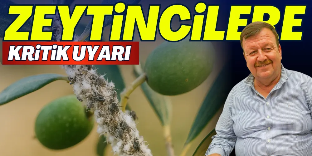 ZEYTİNCİLERE KRİTİK UYARI