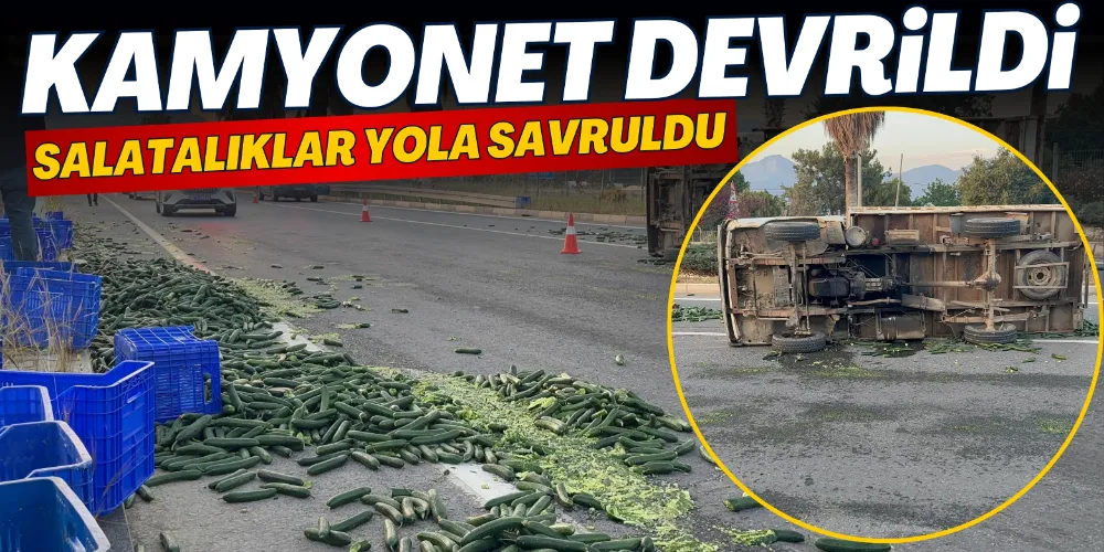 SALATALIK YÜKLÜ KAMYONET DEVRİLDİ: SALATALIKLAR YOLA SAVRULDU
