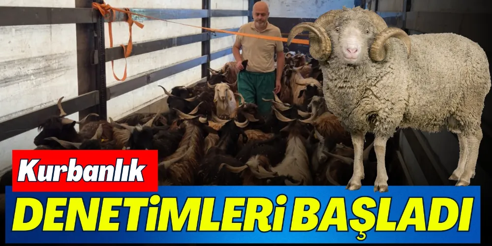 KURBANLIK DENETİMLERİ BAŞLADI