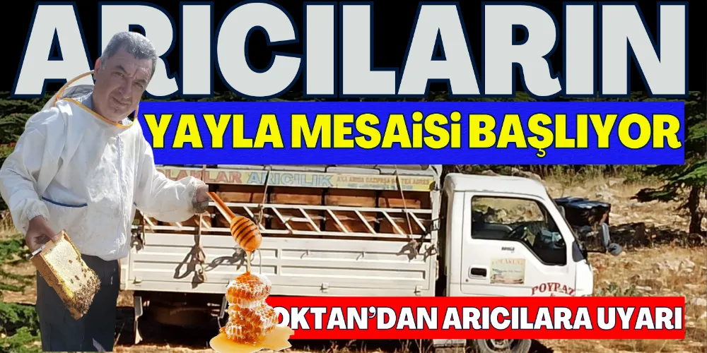 ARICILARIN YAYLA MESAİSİ BAŞLIYOR