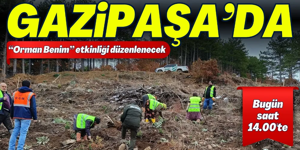 “ORMAN BENİM” ORMAN BİZİM