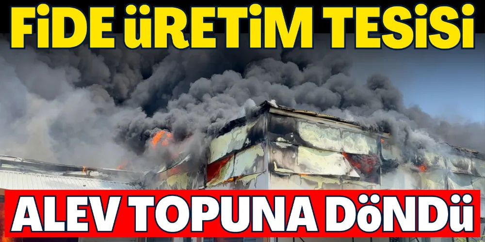 FİDE ÜRETİM TESİSİ ALEV TOPUNA DÖNDÜ