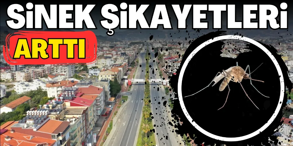SİVRİSİNEK ŞİKAYETLERİ ARTTI!