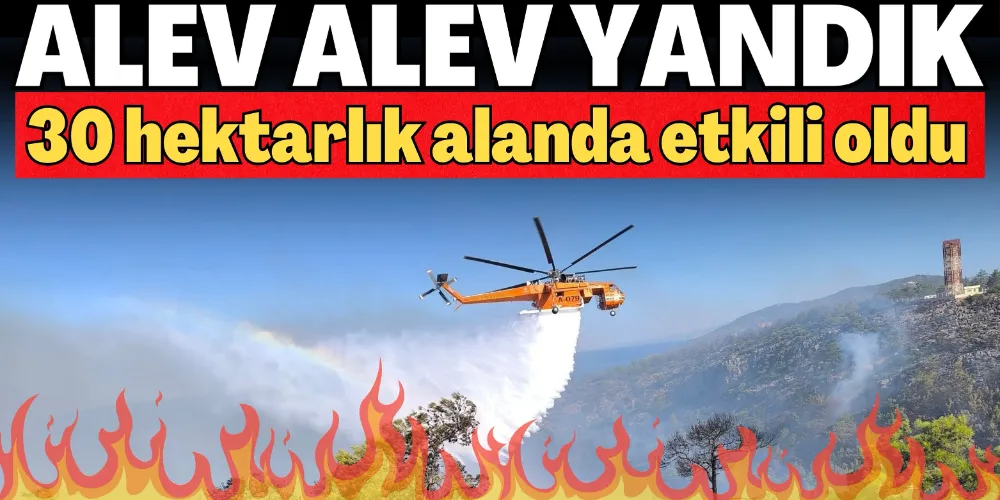 YANDIK!