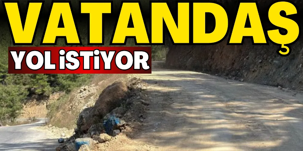 VATANDAŞ YOL İSTİYOR